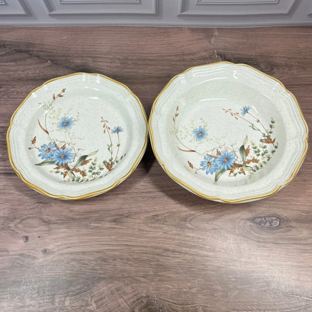 Mikasa Blue Daisies EB 804 Stoneware Set 5pc Japan Blue Floral Scalloped Cream